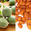 Digestibility and Seasonal Benefits