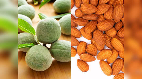 Digestibility and Seasonal Benefits