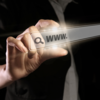 Fake travel document websites