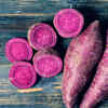 Purple Sweet Potato