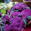 Purple Cauliflower