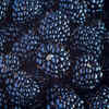Blackberries