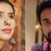 Rajeev accuses Charu of using his name for views