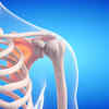 Supports bone health