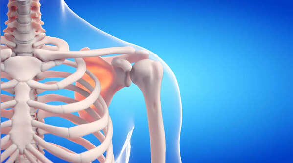 Supports bone health
