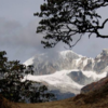 Khangchendzonga National Park, Sikkim