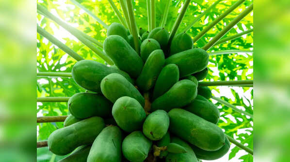 Strengthens Immunity