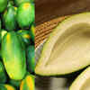 Improves Digestion