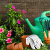 Enjoy Gardening
