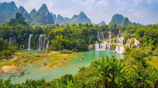 Top 5 Zodiac Signs with a Natural Love for Wildlife and Adventure