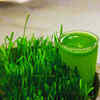 Wheatgrass