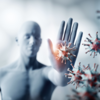 Supports immunity and controls inflammation