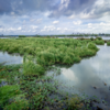 Kadamakkudy, Kerala
