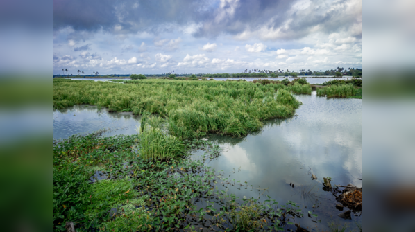 Kadamakkudy, Kerala