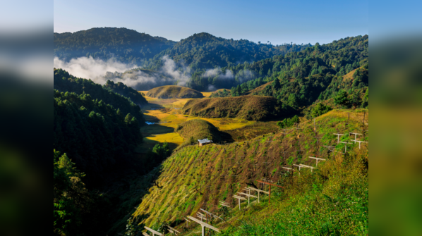 Ziro Valley, Arunachal Pradesh