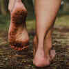 What is Earthing?