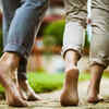 Improves cardiovascular health and circulation