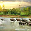 India for elephant lovers 