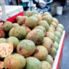 ​Bael (wood apple)