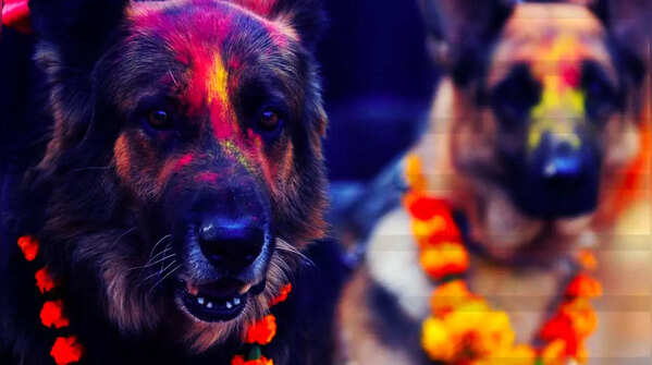 Tihar- Nepal