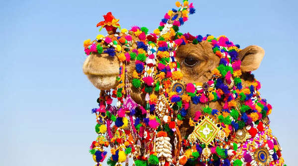 Pushkar Fair- India