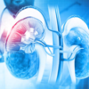Do you understand your kidneys