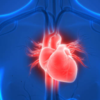 Keeps your heart steady 