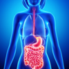 The gut and brain are constantly communicating