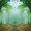 Turahalli Forest