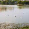 Kaikondrahalli Lake