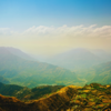 Himachal Pradesh
