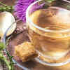 Milk Thistle Tea (Silybum marianum)