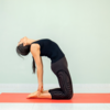 Ustrasana