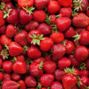 A bowl of strawberries vs. a handful of nuts
