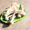 Gavti Almi Mushroom