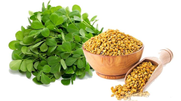 Fenugreek seed and water