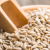 Sunflower seeds and water 