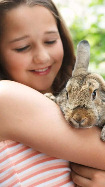 10 things to know before getting a pet rabbit: Care tips