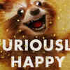 Furiously Happy: Jenny Lawson