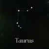 ​Taurus (April 20 – May 20)