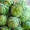 Artichokes