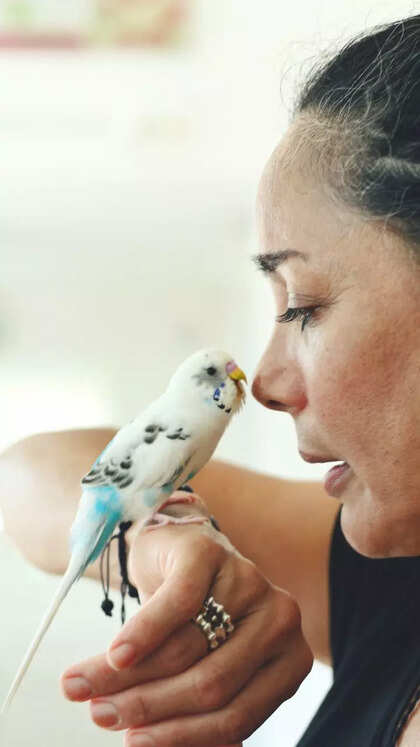 8 pet birds that can mimic human speech perfectly