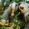 Tale of the Island of the Dolls