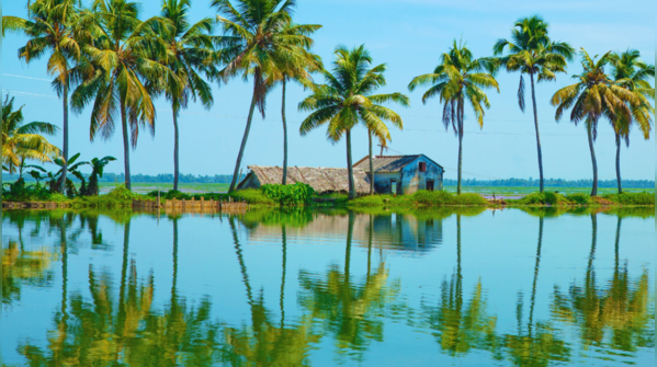 Kumarakom