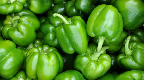 Bell Peppers