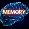It safeguards memory networks, even before decline begins