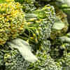 Broccoli sprouts