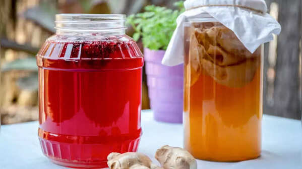 Probiotic-Rich Kombucha or Kefir
