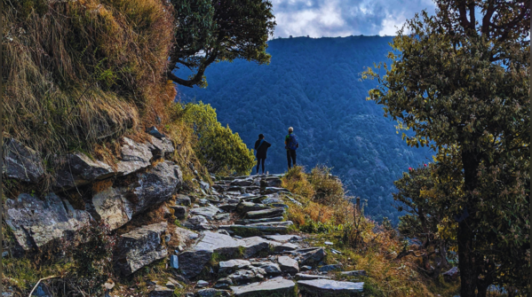 Panoramic vistas and pine-scented serenity