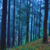 Kurseong